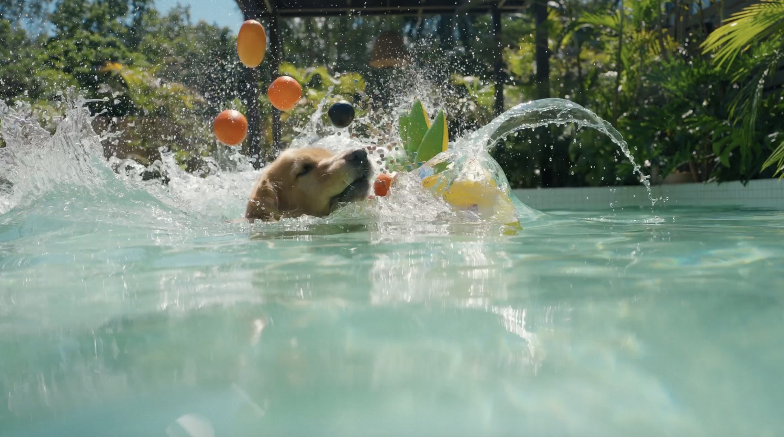 Aiper Scuba S1 pro 泳池机器人产品宣传片