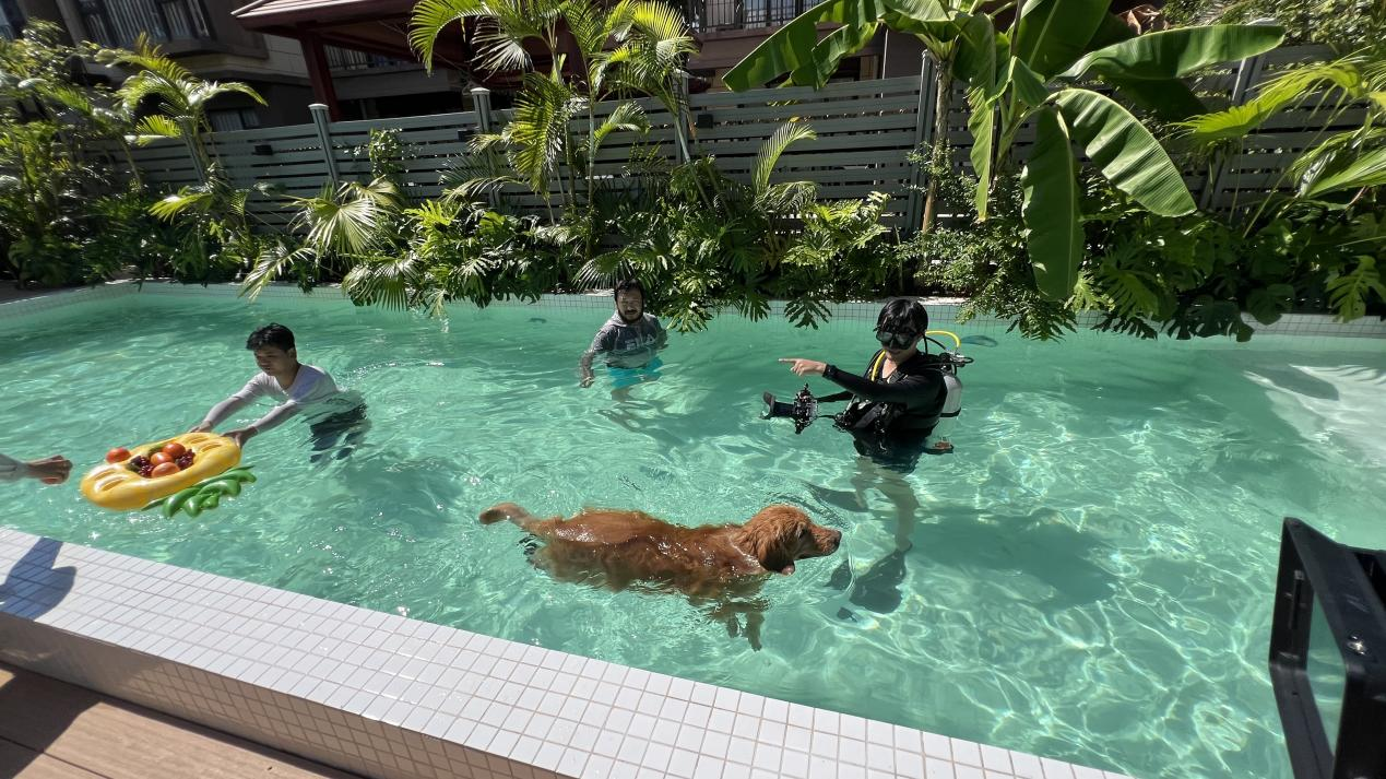 如何通过海外视频捕捉当地独特文化与故事(图1)